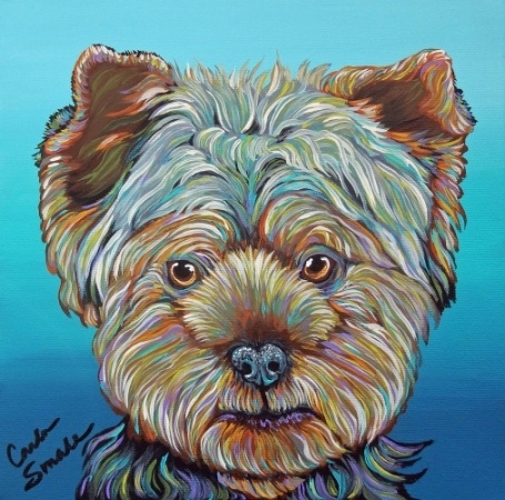 Rainbow Yorkie Pet Dog