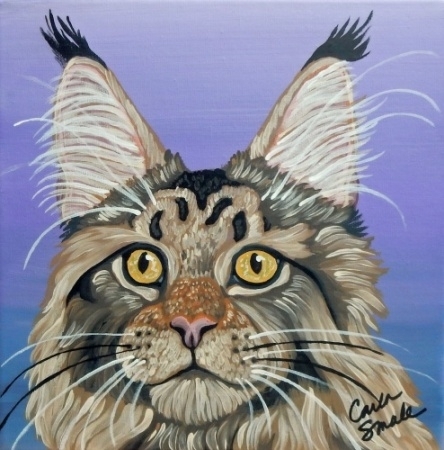 Maine Coon Cat