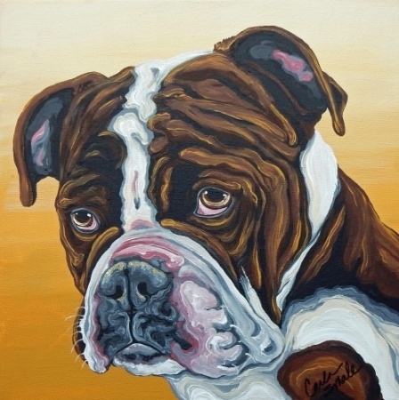 Olde English Bulldogge