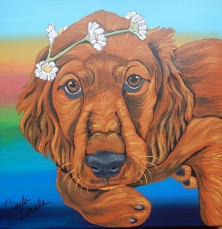 Portrait of an Irish Setter Pup